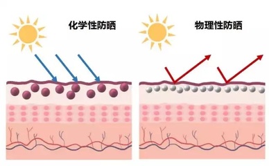 物理防晒 vs 化学防晒 如何做出明智选择？全面解析防晒技巧